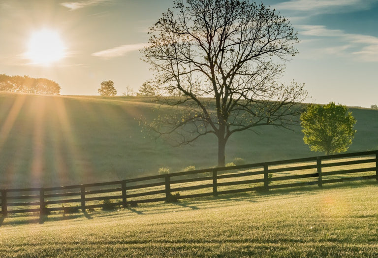 Clinic: Dr. Craig Lesser at REC Equine Specialists