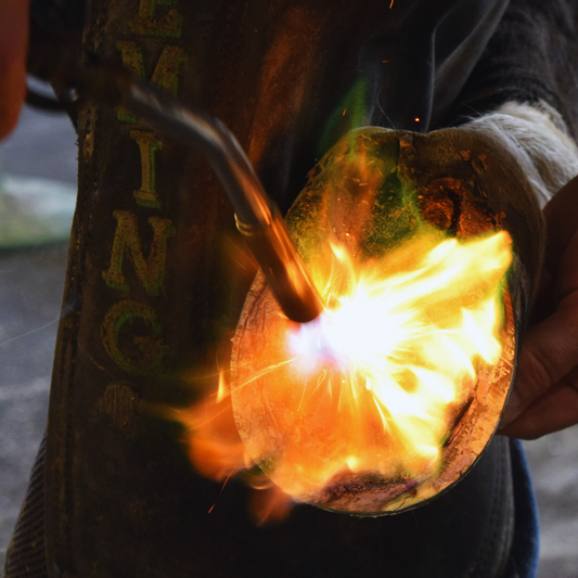 Clinic: Dr. Scott Fleming at Breeders Farrier Supply (Lexington, KY)