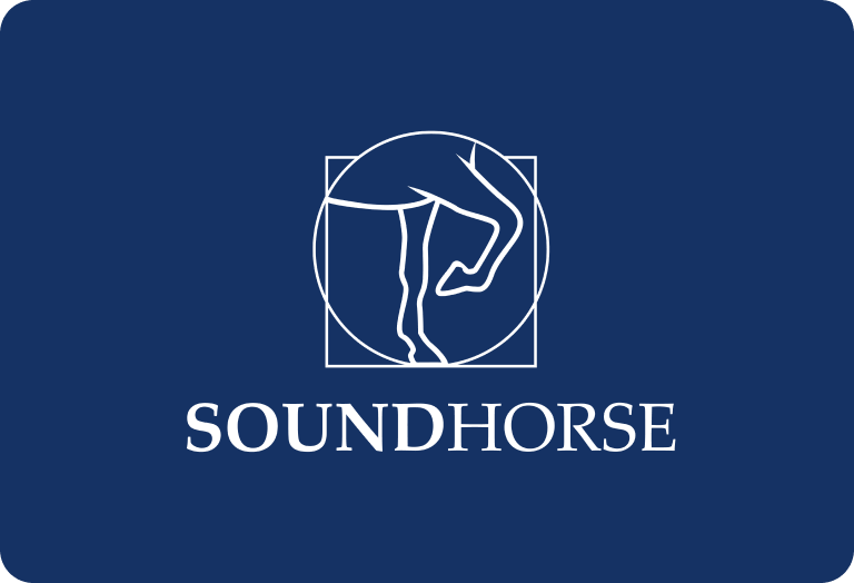 Rood & Riddle International Podiatry Conference – SoundHorse