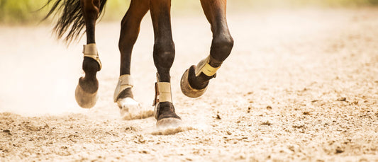 Docasco Hoof Dressing: Made In America's Story